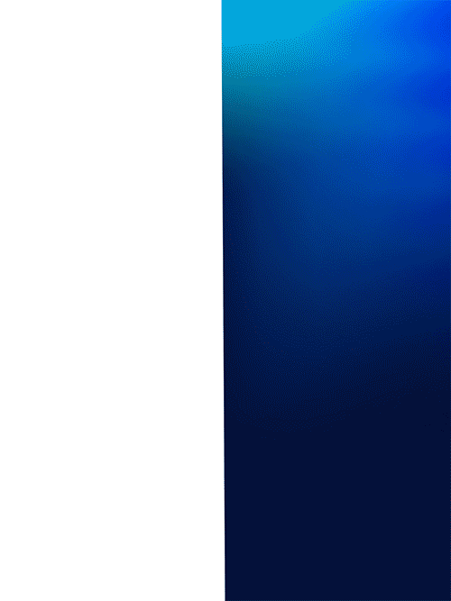 Data Visualization